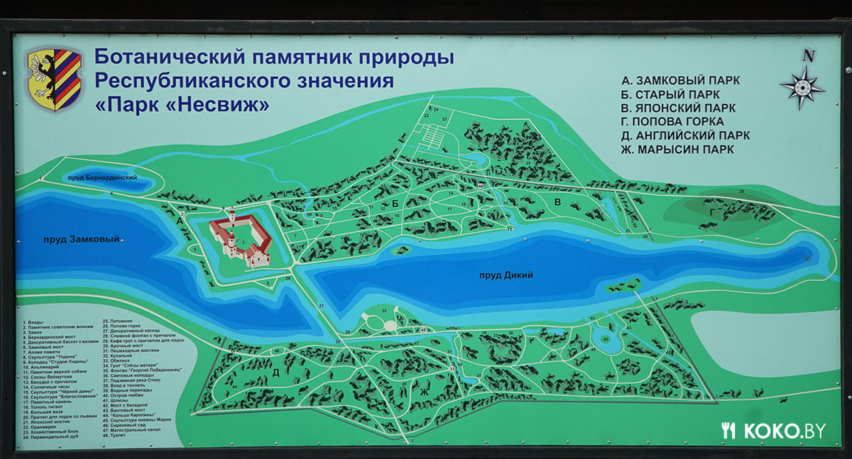 Есть ли жизнь в Несвижском Замке и чем кормят в местном кафе с самым высоким рейтингом Гугла - фото - 9