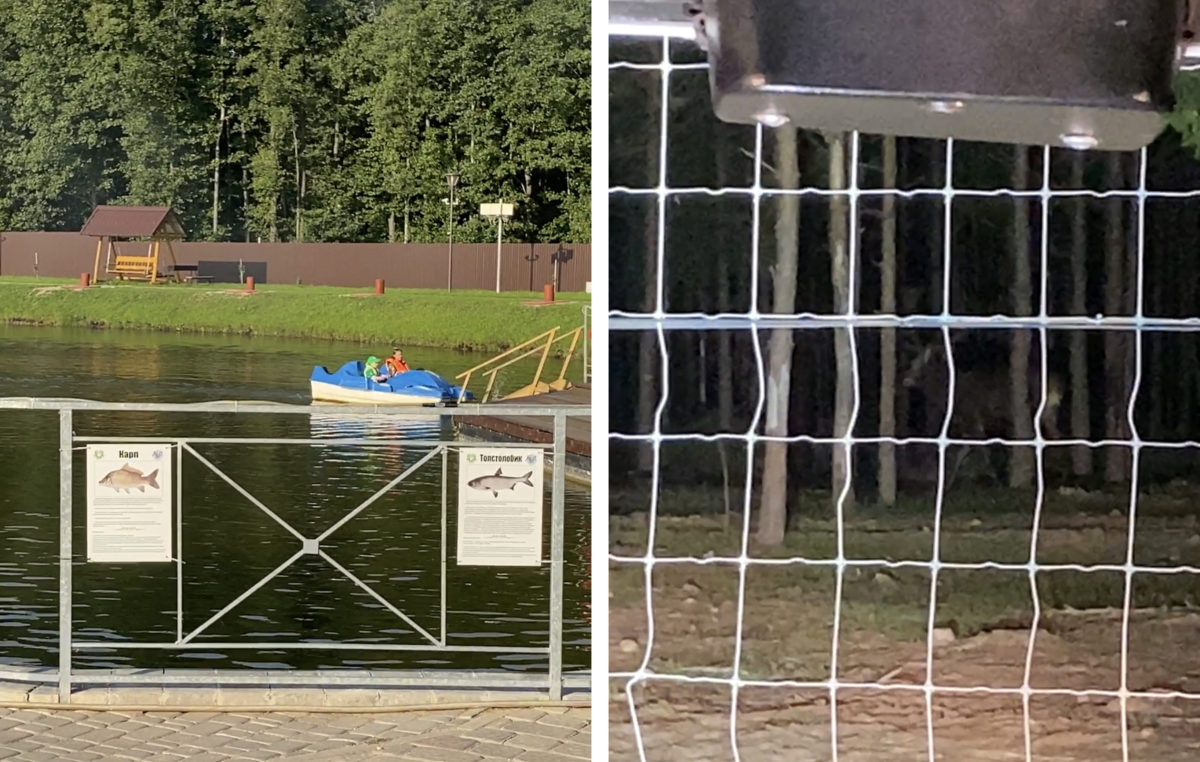 Одичали! Сколько стоит отдохнуть и покататься на вездеходе в охотничьем хозяйстве «Белый Лось» - фото - 7