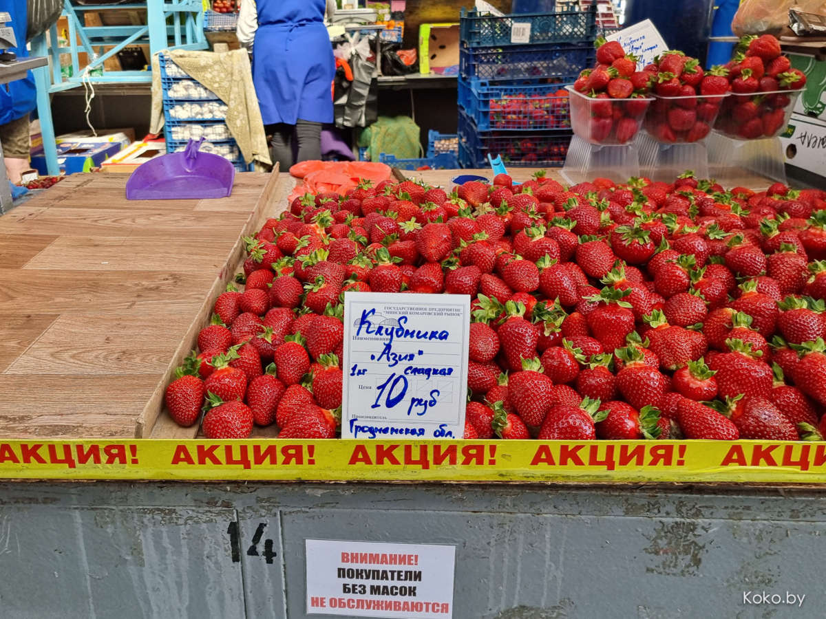 Почем опиум для народа? Самая дорогая и самая дешёвая клубника на Комарах - фото - 12