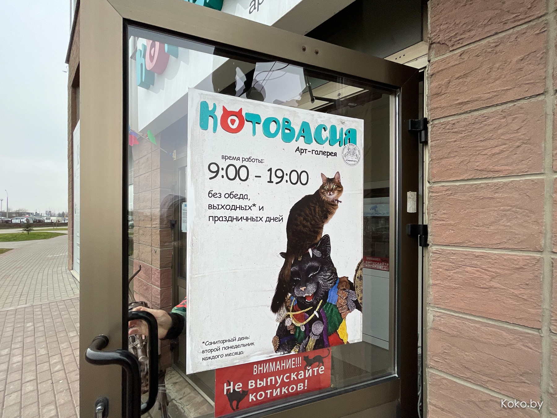 Арт-галерея «Котовасия», где кроме мяукающих котиков более 7000 экземпляров котов со всего мира - фото - 4