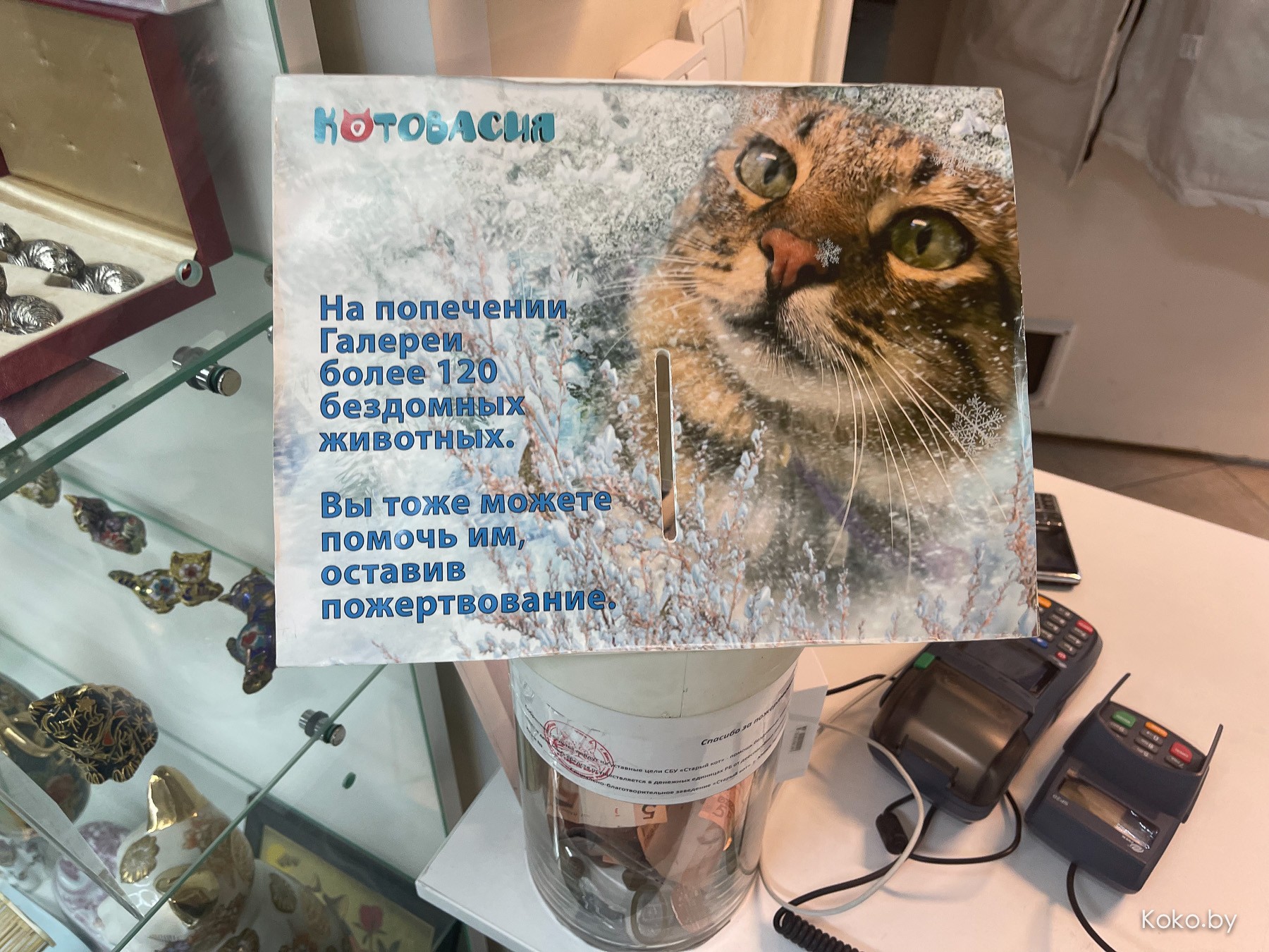 Арт-галерея «Котовасия», где кроме мяукающих котиков более 7000 экземпляров котов со всего мира - фото - 69