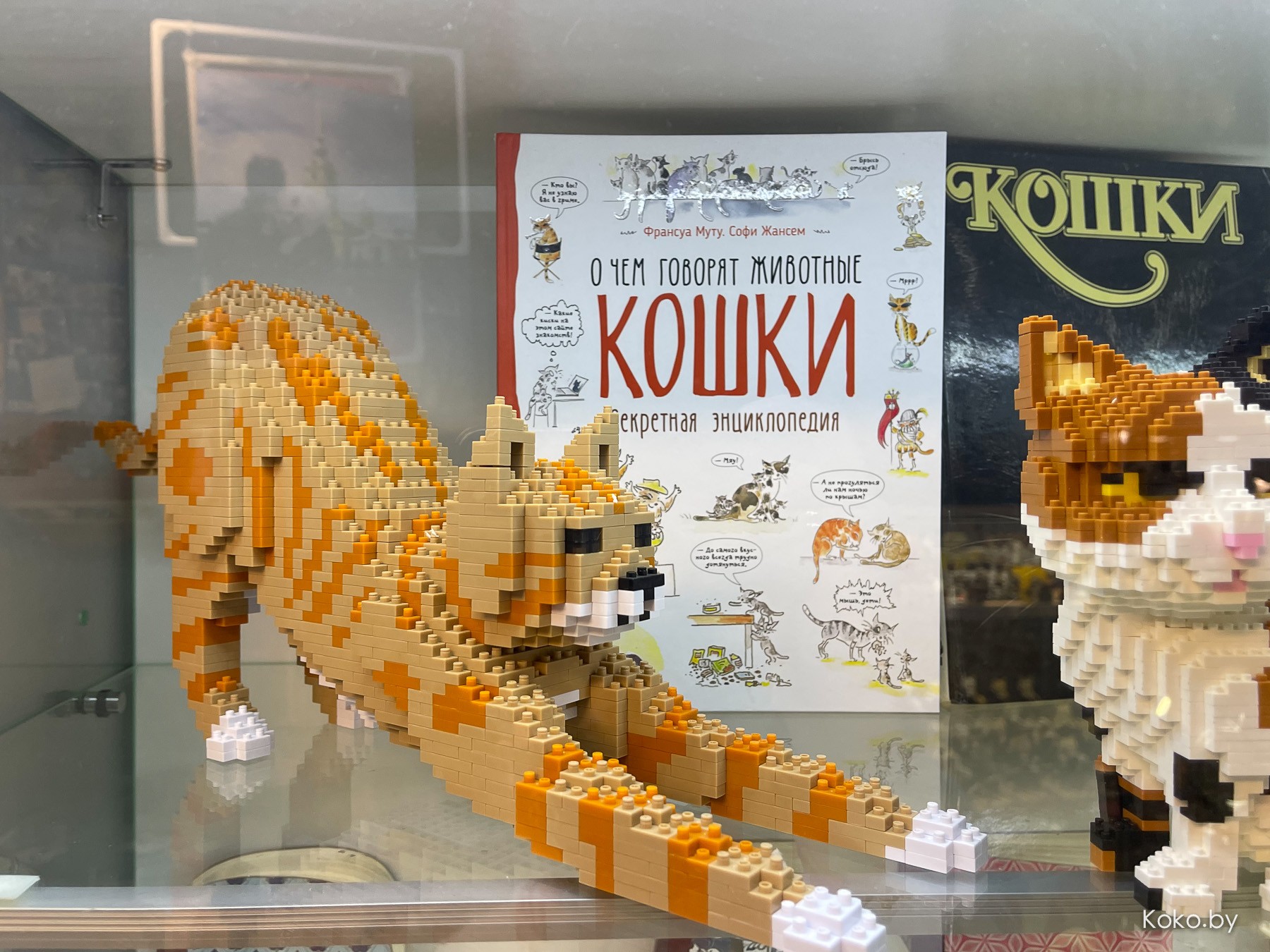 Арт-галерея «Котовасия», где кроме мяукающих котиков более 7000 экземпляров котов со всего мира - фото - 9