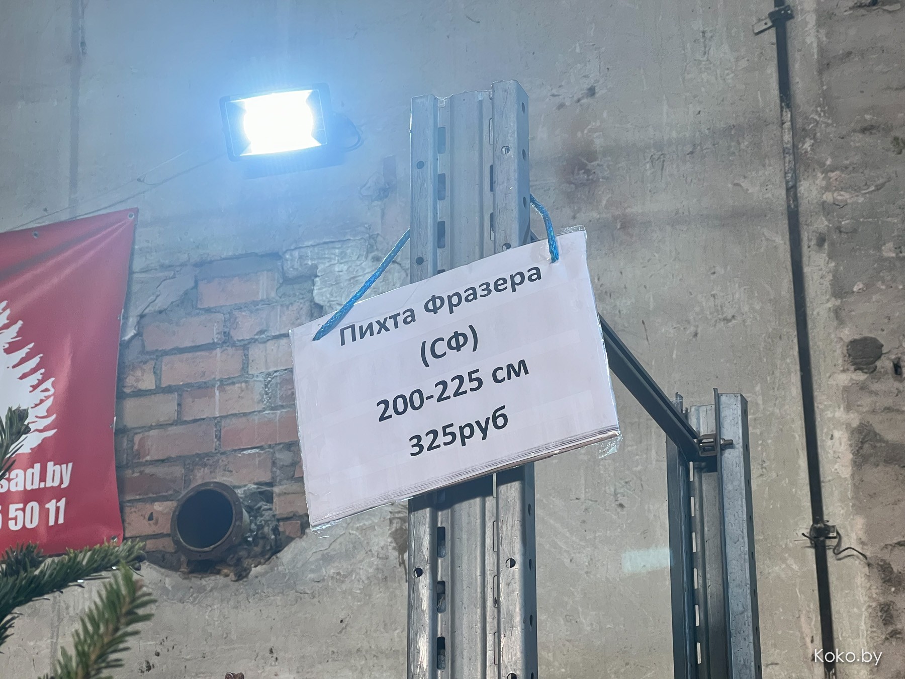 Почём языческий атрибут на Новый год с самого крупного ёлочного базара? - фото - 17