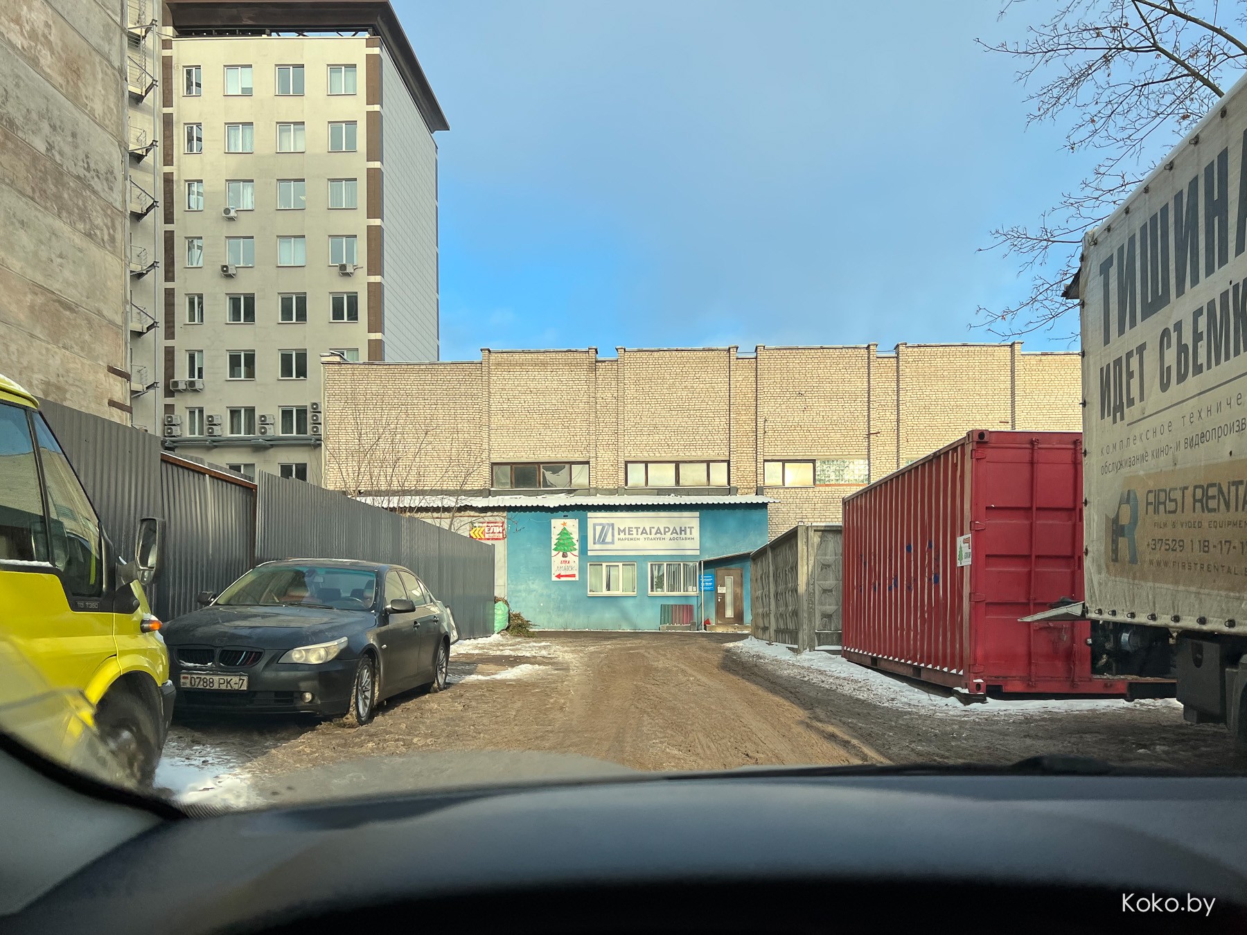 Почём языческий атрибут на Новый год с самого крупного ёлочного базара? - фото - 2