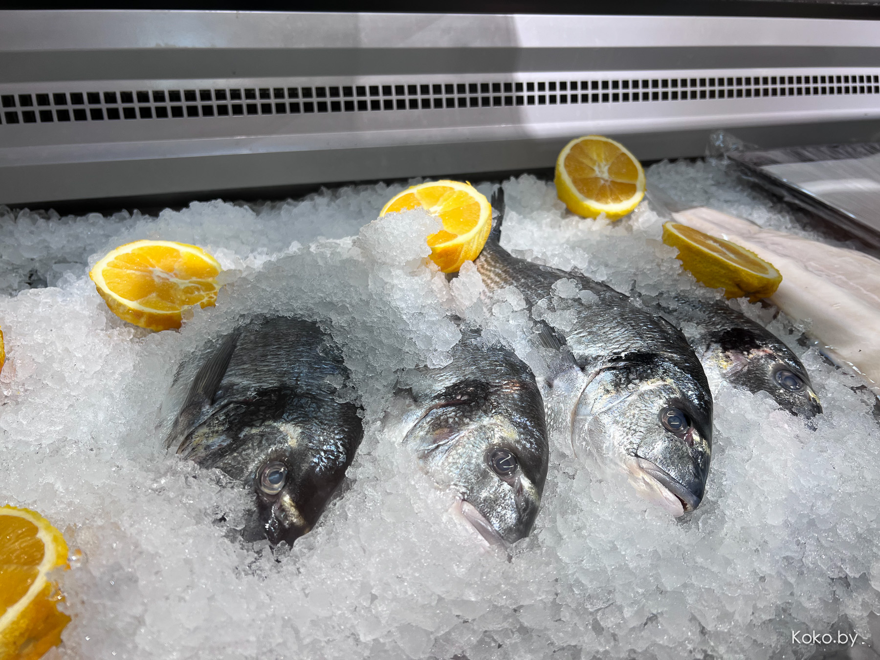 Контрольная закупка в рыбном магазине «Дом Барсука»: суши Филадельфия по 12р, маринованный лосось по 7р - фото - 14