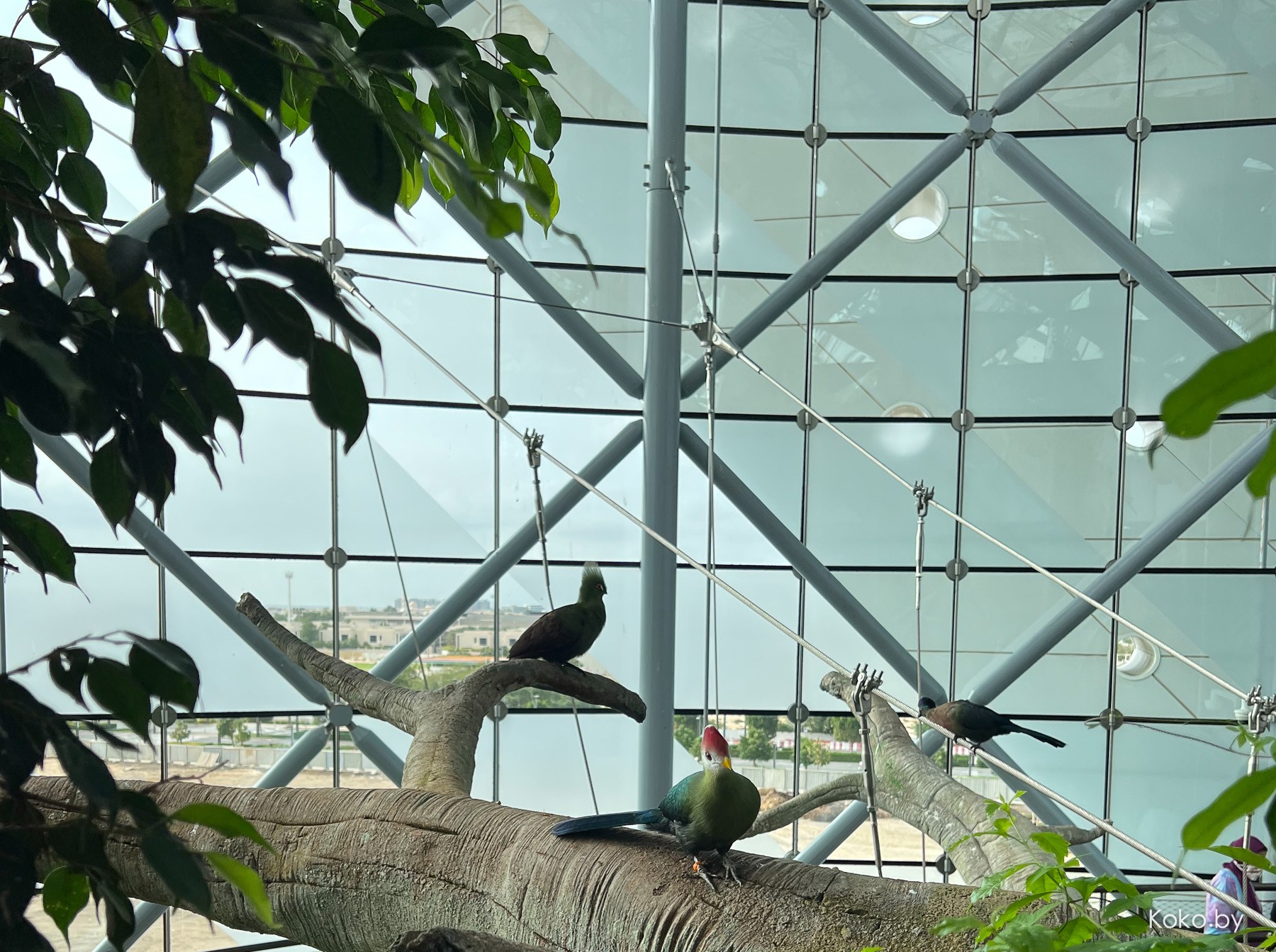 Что стоит посмотреть в Дубае, и сколько брать с собой денег - фото - 35