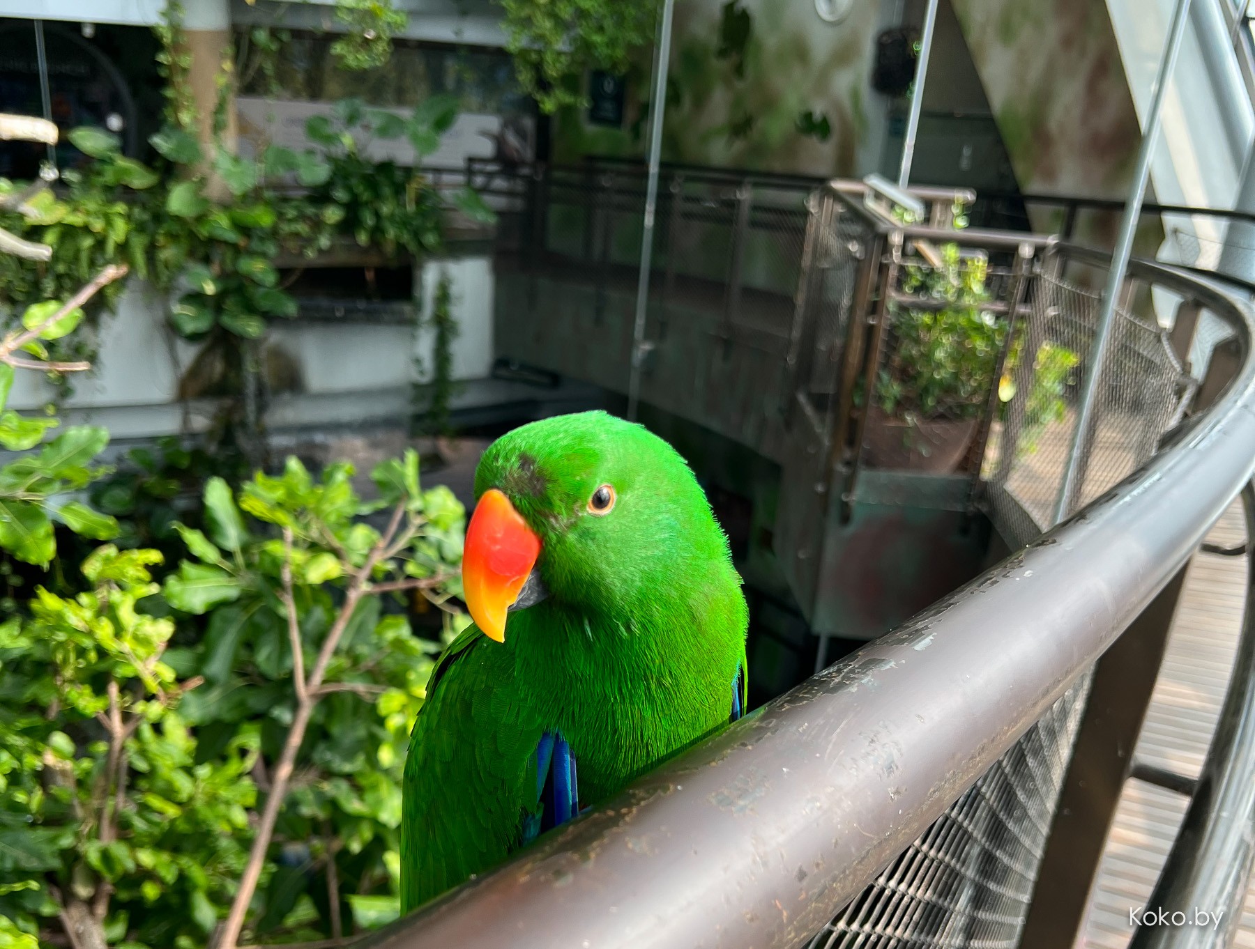 Что стоит посмотреть в Дубае, и сколько брать с собой денег - фото - 36