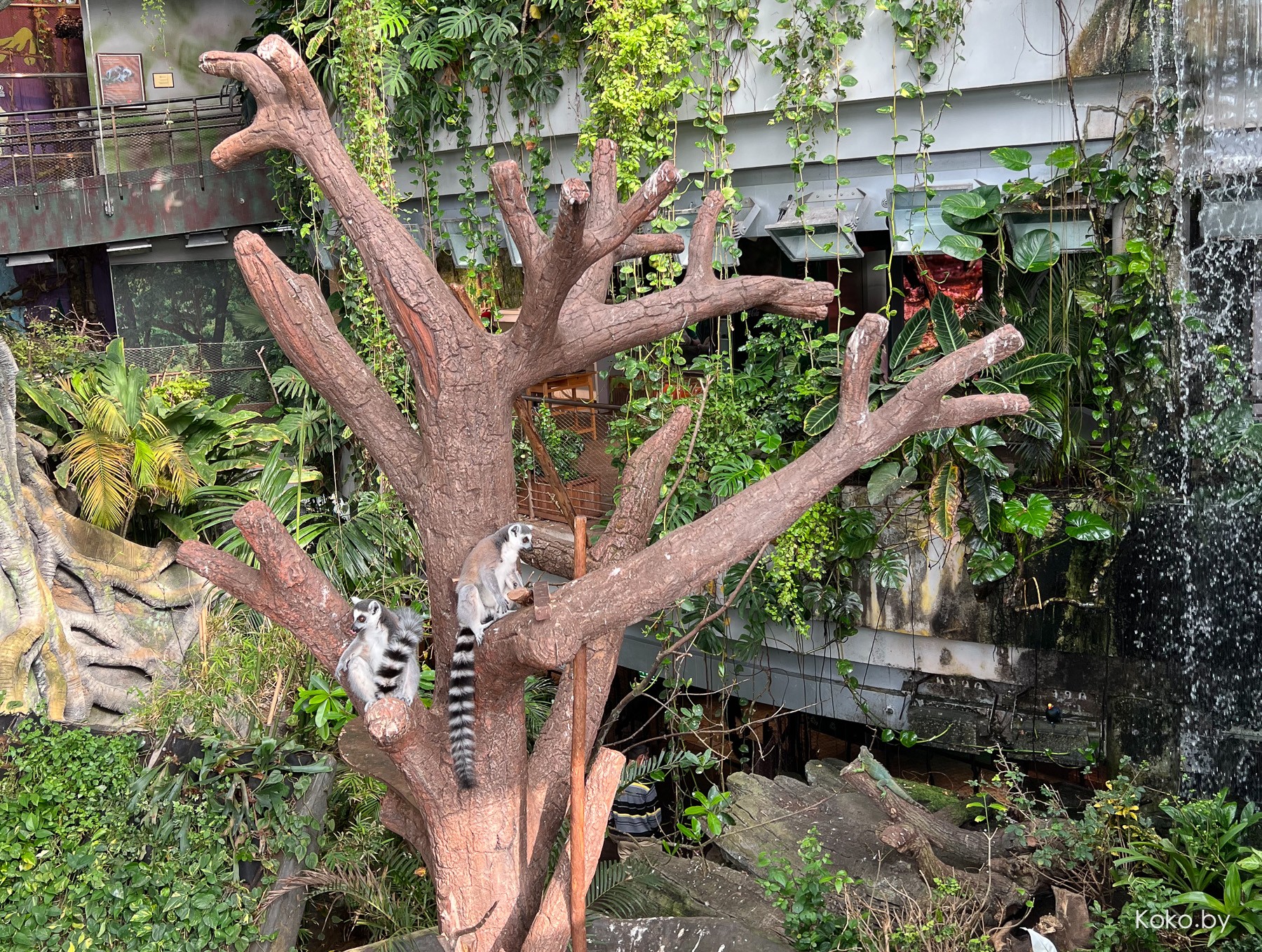 Что стоит посмотреть в Дубае, и сколько брать с собой денег - фото - 37