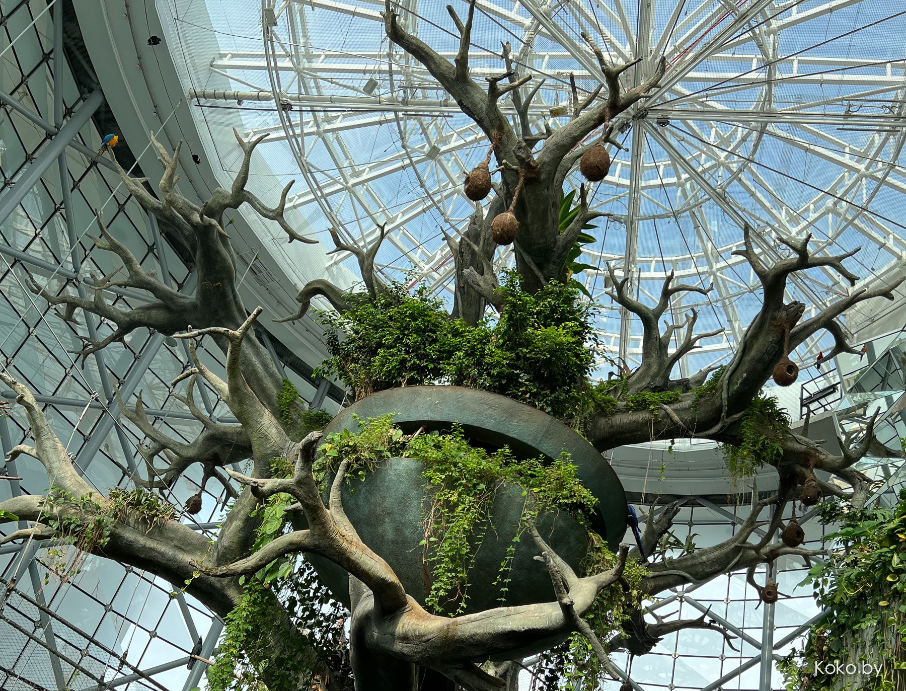 Что стоит посмотреть в Дубае, и сколько брать с собой денег - фото - 38