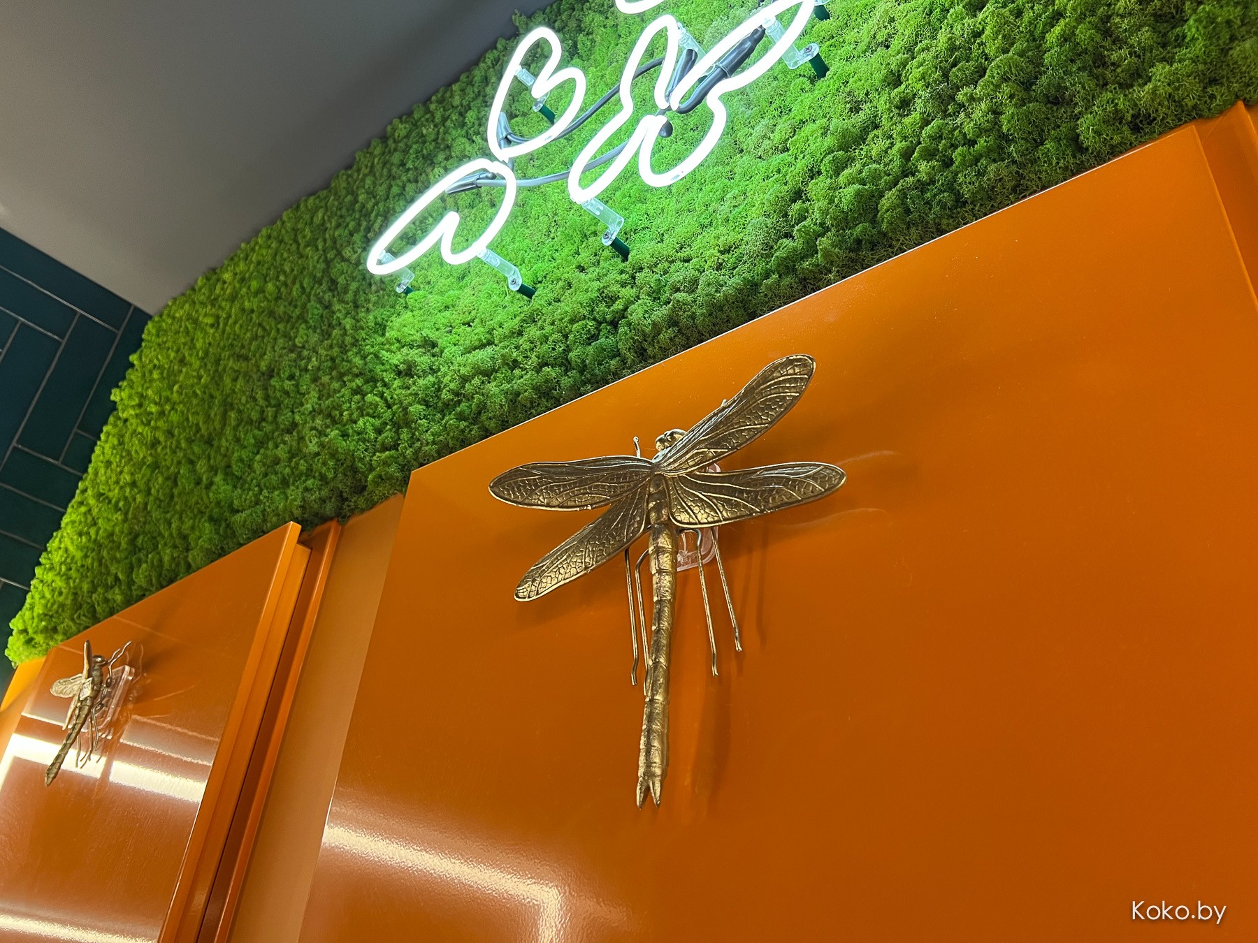 Как поживают заведения Бреста. Специально съездили в их «Блум», чтобы сравнить с нашим - фото - 11