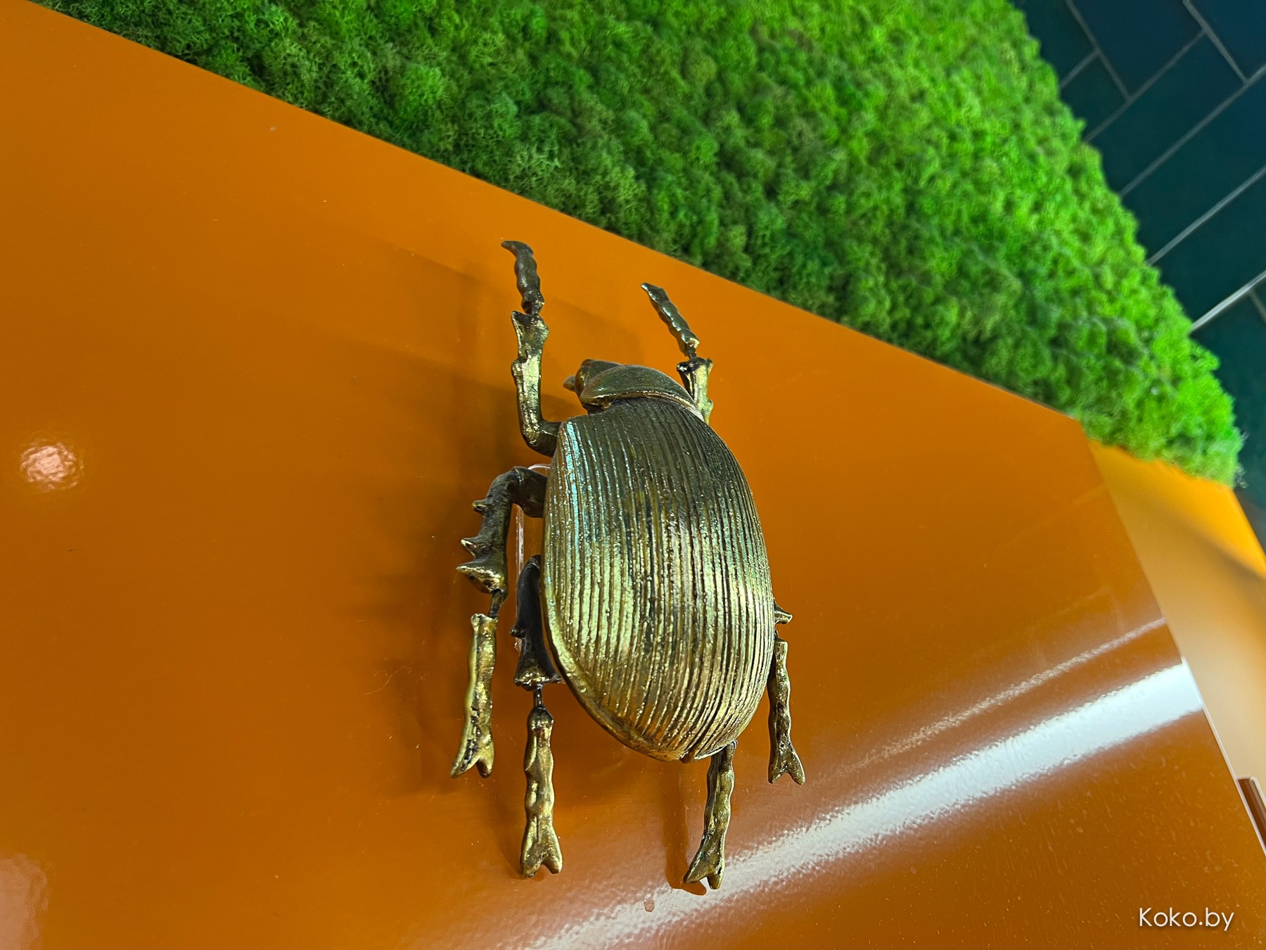 Как поживают заведения Бреста. Специально съездили в их «Блум», чтобы сравнить с нашим - фото - 12