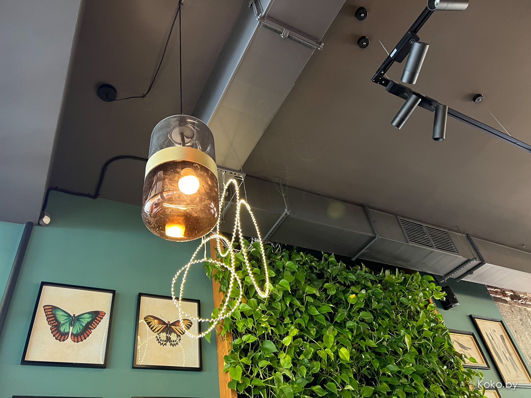 Как поживают заведения Бреста. Специально съездили в их «Блум», чтобы сравнить с нашим - фото - 6