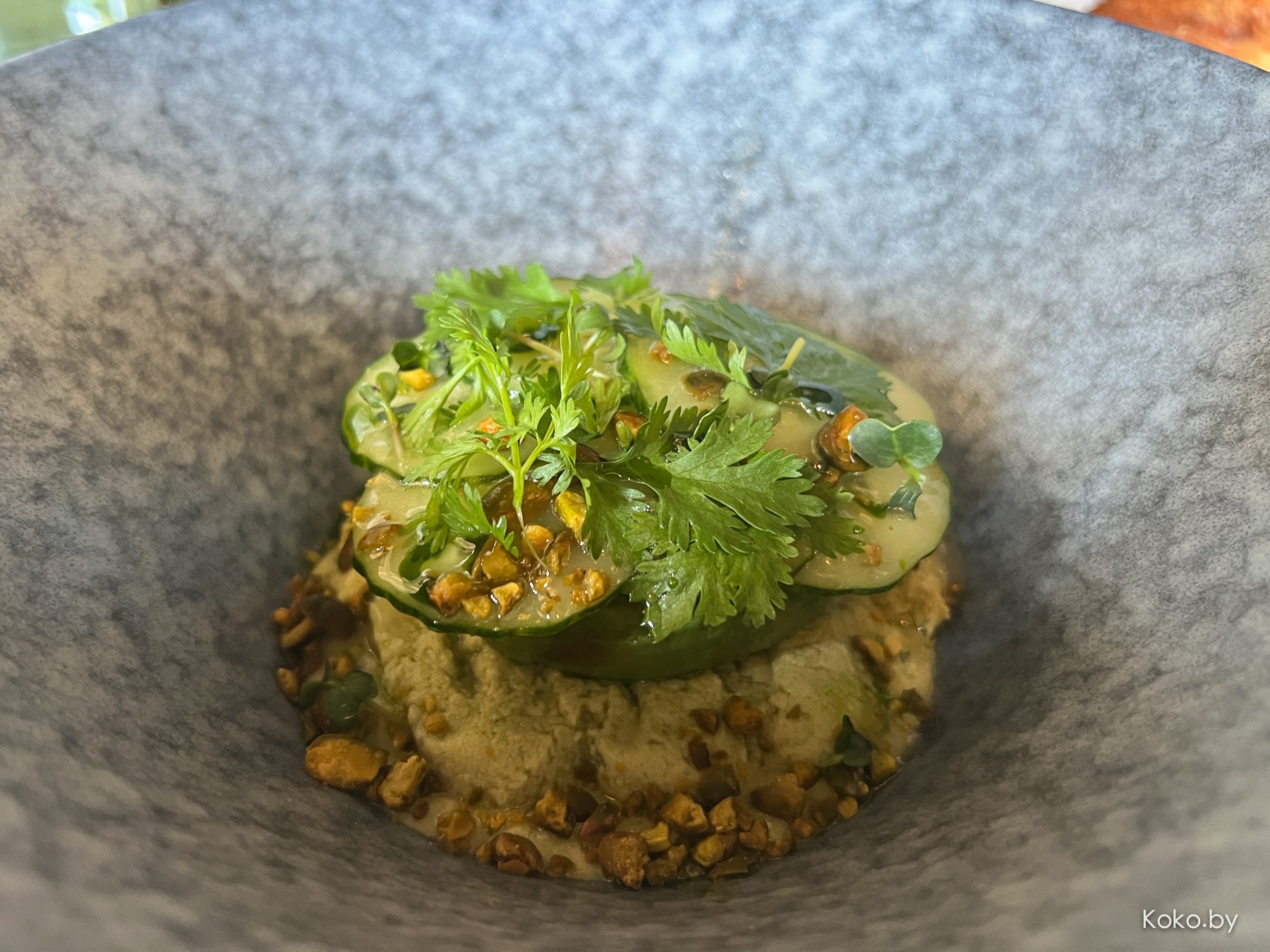 Чем кормят в новом, с пометкой свободной кухни, ресторане «Моджо» напоминающем «Фабрик» - фото - 21