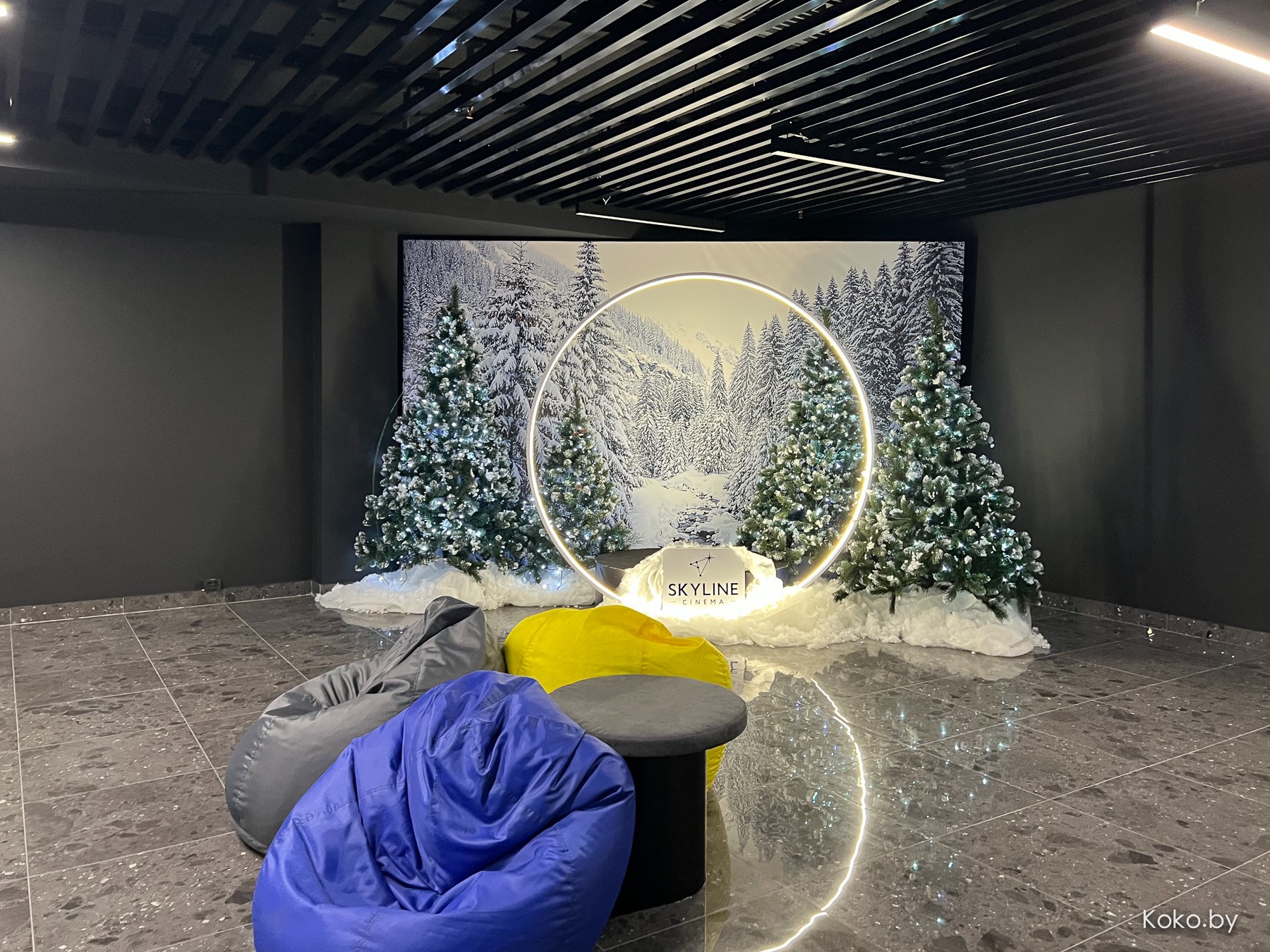 В Минске 1 декабря заработает трёхъярусный кинотеатр «Скайлайн синема», где покажут новую «Чёрную пантеру» - фото - 4