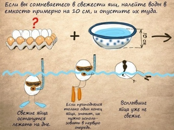 Советы: Как определить свежесть яиц?