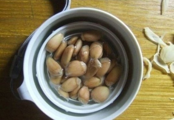 Советы: Как вырастить лимонное дерево в чашке