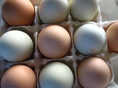 Закуски: Яйцо чучела запеченный картофель