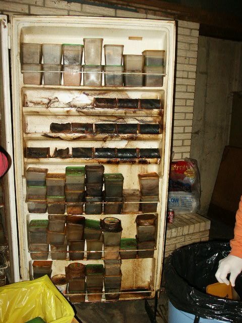 Новости: Что случится если холодильник простоит 5 лет с продуктами в сараи
