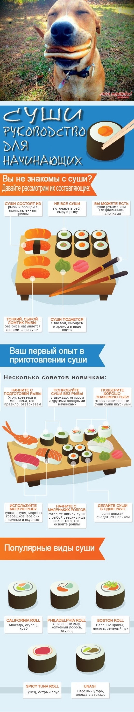 Советы: Мы научим Вас, правильно готовить суши