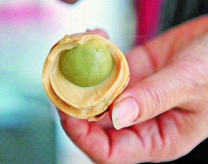 Новости: 10 самых ужасных блюд в мире которые пользуются большим спросом