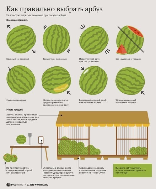 Советы: Как правильно выбирать арбуз