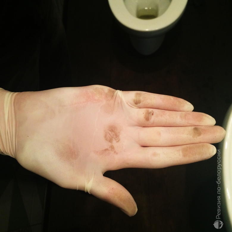 Кафе-бар «Tapas Bar (Тапас бар)». Ревизия и Citydog проверяют испанскую кухню в Минске