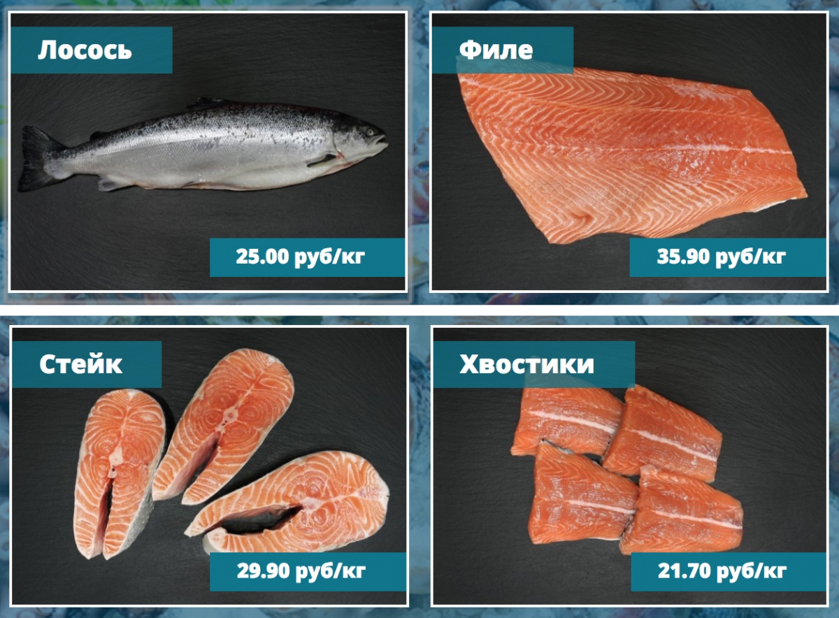 виды лососевых рыб названия и картинки