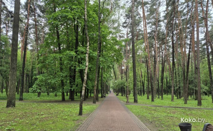 Парк Челюскинцев - галерея 4