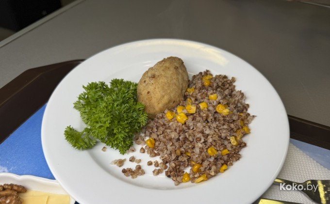 Авиатор - галерея 20