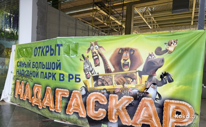 Мадагаскар - галерея 7