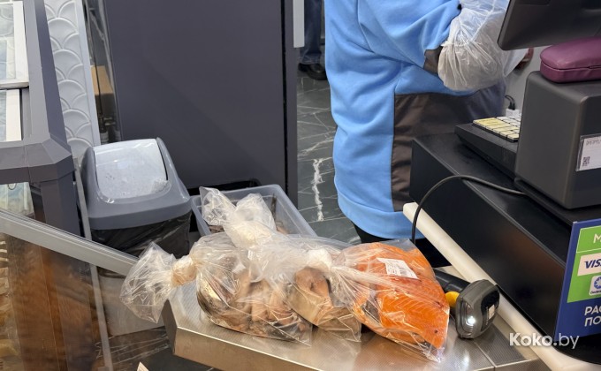 Санта Фиш - галерея 2