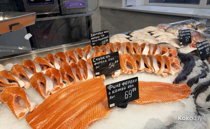 Санта Фиш - галерея 4