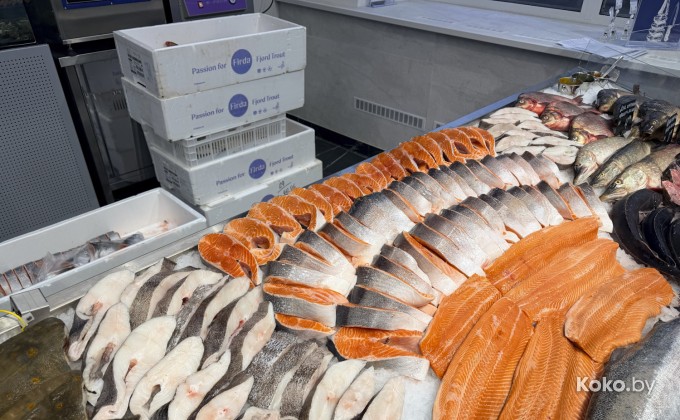 Санта Фиш - галерея 11