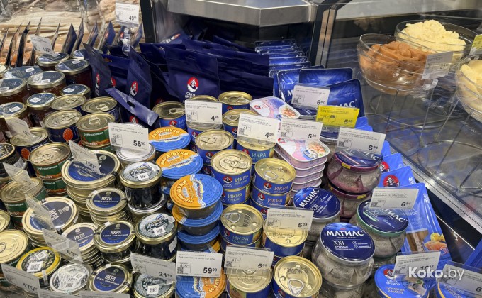 Санта Фиш - галерея 16