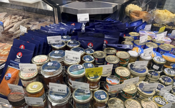 Санта Фиш - галерея 17