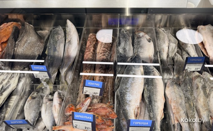 Санта Фиш - галерея 19