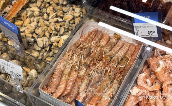 Санта Фиш - галерея 23