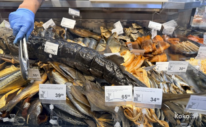 Санта Фиш - галерея 29