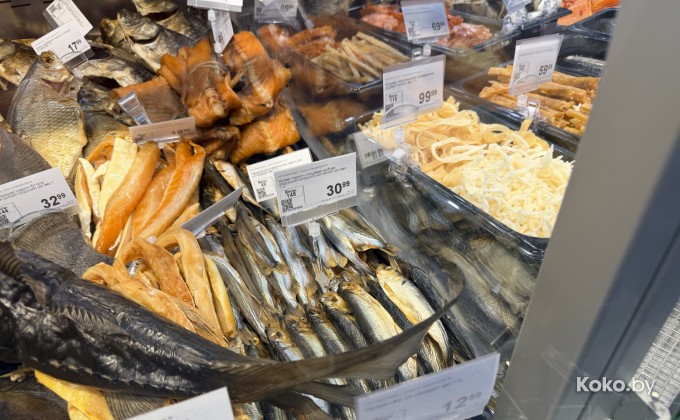 Санта Фиш - галерея 30