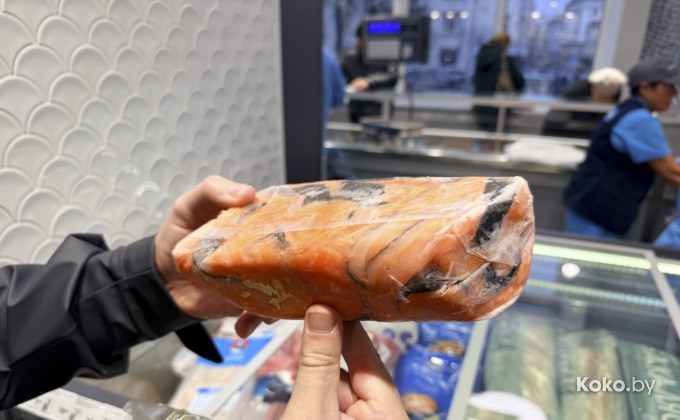 Санта Фиш - галерея 35