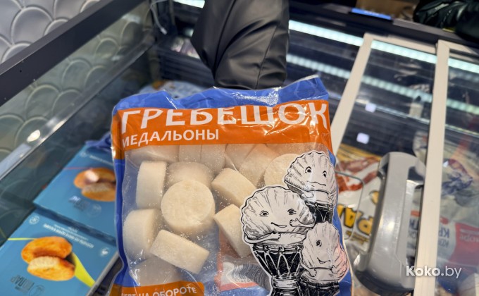 Санта Фиш - галерея 37