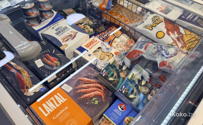 Санта Фиш - галерея 38