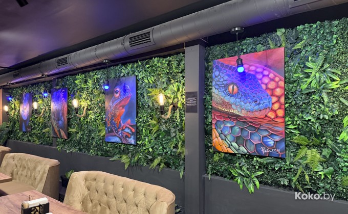 Amazonka / Амазонка - галерея 10