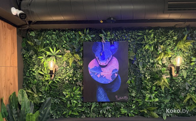 Amazonka / Амазонка - галерея 11