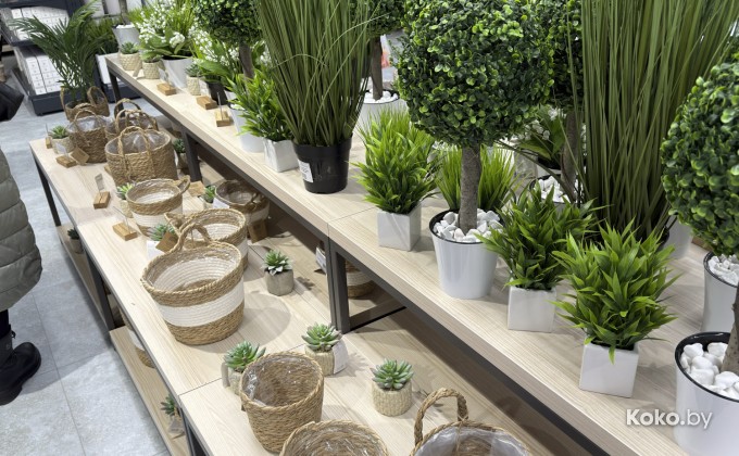 21vek.by Дом / 21векбай Дом - галерея 13