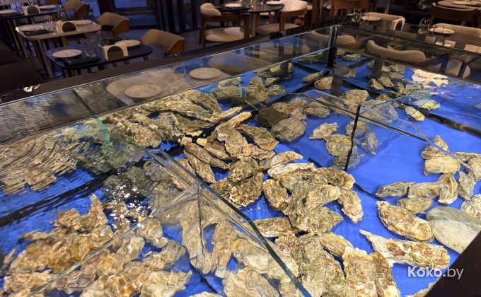 Maybe / Мэйби - галерея 4