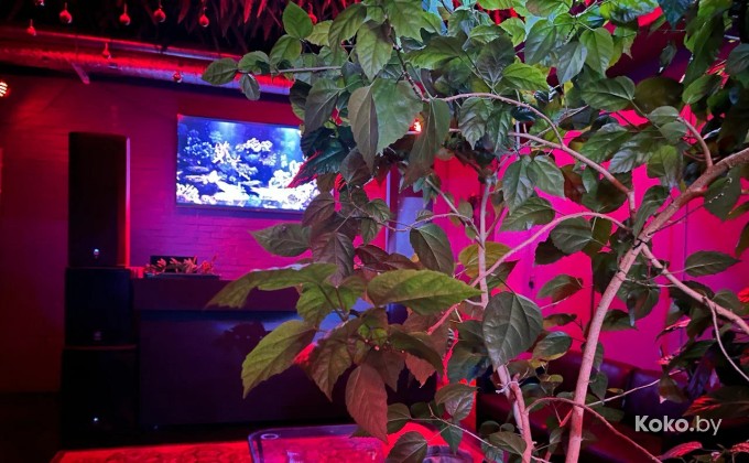 Soundgarden Bar / Саундгарден бар - галерея 6
