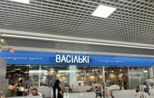 Васильки ТЦ Дана Молл