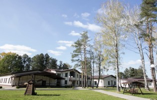 Лесная чайка