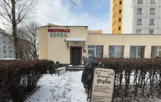 Верба